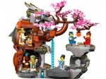 LEGO® Ninjago 71819 - Chrám dračieho kameňa